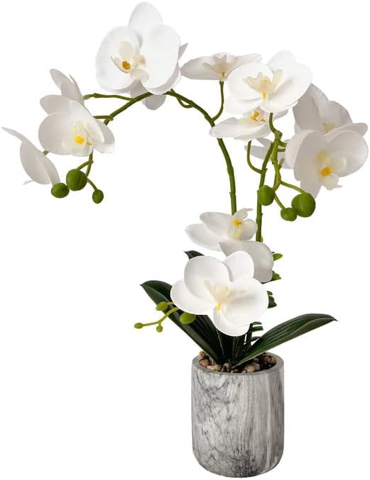 Home Bathroom Images - Fake Orchids in Pot, Bendable Faux